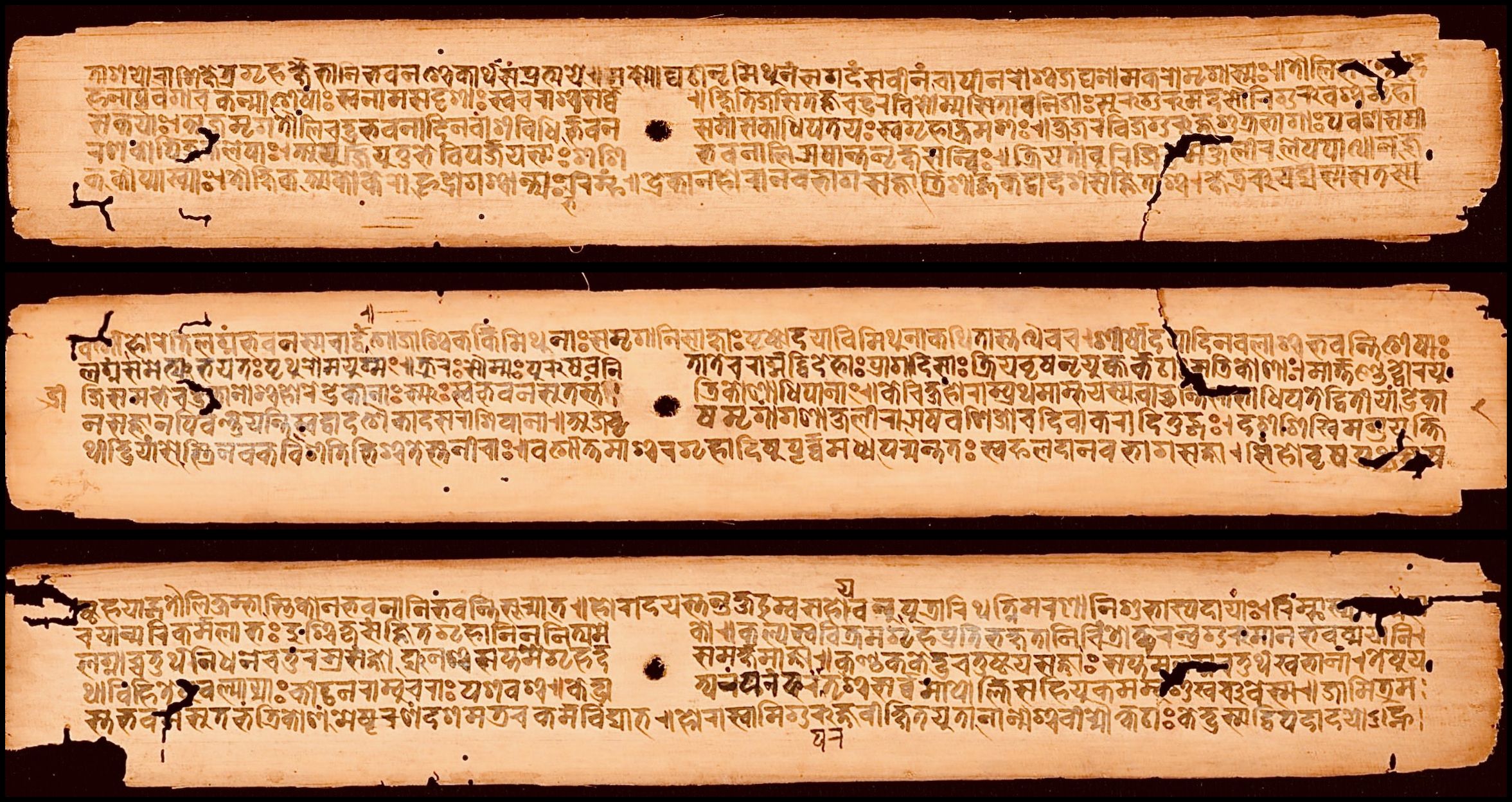 vedas